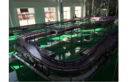 專業(yè)流水線供應(yīng)商】供應(yīng)無壓力酒瓶輸送系統(tǒng)