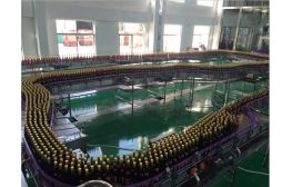 【專業(yè)酒水類流水線供應(yīng)商】供應(yīng)扁瓶輸瓶機,空瓶輸送流水線
